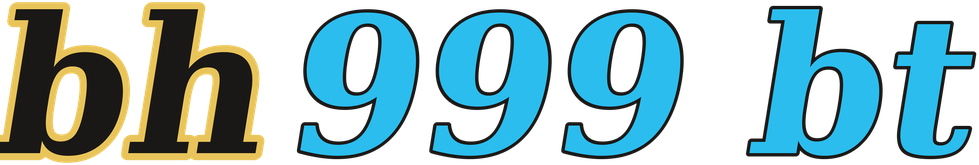 bh999 bt logo